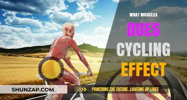 Cycling's Impact: Targeting Muscle Groups for Fitness Results