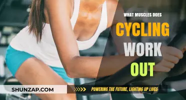 Cycling's Full-Body Benefits: Muscles Targeted and Strengthened Explained