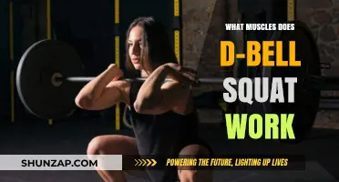 Dumbbell Squat Muscles: Targeted Lower Body Strength Training Explained