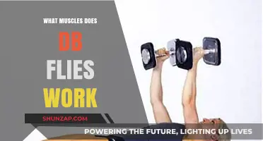 Dumbbell Flyes: Targeted Muscles and Benefits for Chest and Shoulders