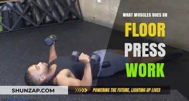 Dumbbell Floor Press: Target Muscles and Benefits Explained