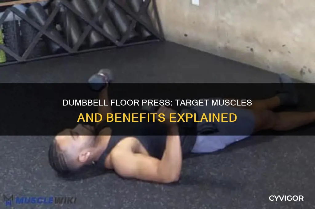 what muscles does db floor press work