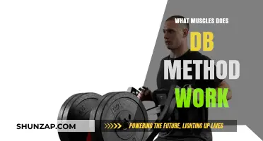 DB Method Muscles: Targeted Areas and Benefits Explained