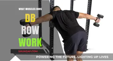Dumbbell Row Muscles: Targeted Back, Arm, and Core Engagement Explained