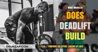 Unlocking Strength: The Ultimate Guide to Deadlift Muscle Gains