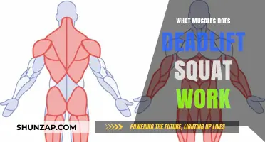 Deadlift vs. Squat: Muscles Worked and Strength Benefits Compared