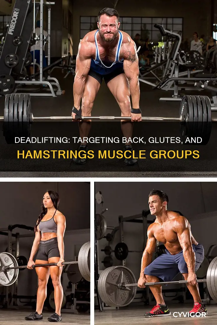 what muscles does deadlifting target
