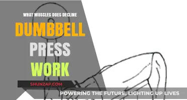 Decline Dumbbell Press: Target Muscles and Benefits Explained