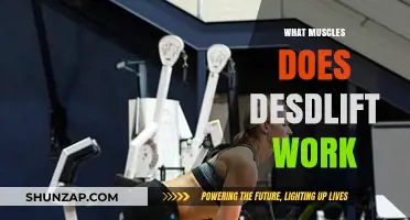 Deadlift Muscles: Unlocking Full-Body Strength and Engagement