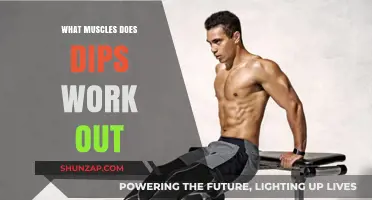 Dips Workout: Targeting Triceps, Chest, and Shoulder Muscles Effectively