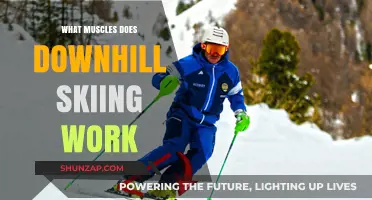 Downhill Skiing: Unveiling the Muscles Engaged on the Slopes