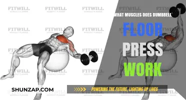 Dumbbell Floor Press: Targeted Muscles and Benefits Explained