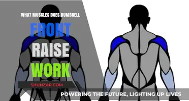 Dumbbell Front Raise Muscles: Targeted Benefits and Workout Tips