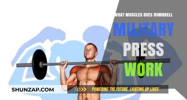 Dumbbell Military Press: Targeted Muscles and Strength Benefits Explained