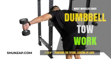 Dumbbell Row Muscles: Targeted Back, Arm, and Core Engagement Explained