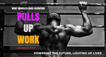 Eccentric Pull-Up Muscles: Targeted Strength Training for Upper Body Power