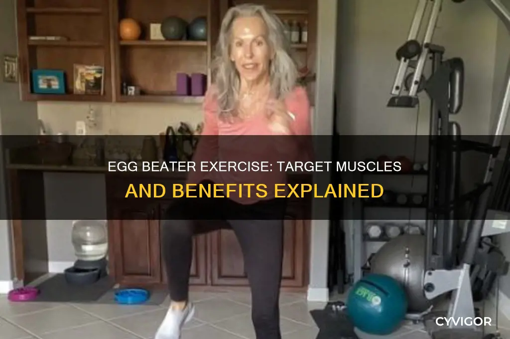 what muscles does egg beater work