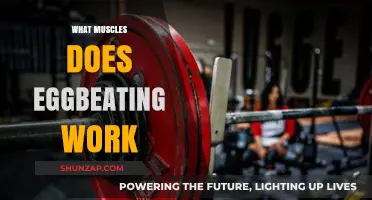 Eggbeating Exercise: Targeted Muscles and Benefits for Swimmers
