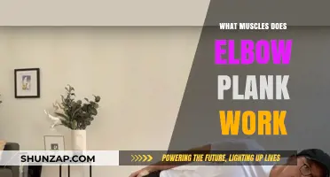 Elbow Plank Muscles: Core, Shoulders, Quads, and More Engaged