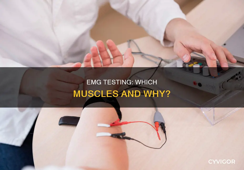 what muscles does emg test