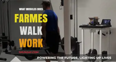 Farmer's Walk Muscles: Full-Body Benefits and Targeted Strength Training