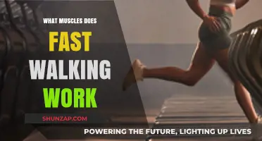 Fast Walking Benefits: Target Muscles for Toned Legs and Core Strength