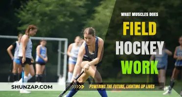 Field Hockey Fitness: Muscles Targeted and Strengthened in the Game