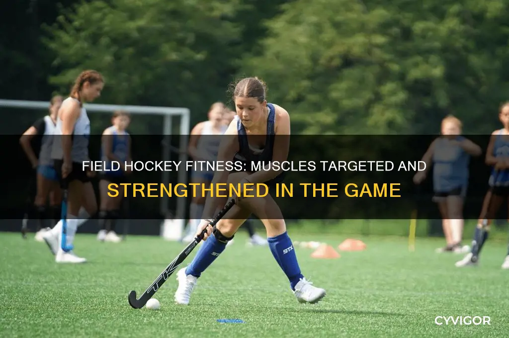 what muscles does field hockey work