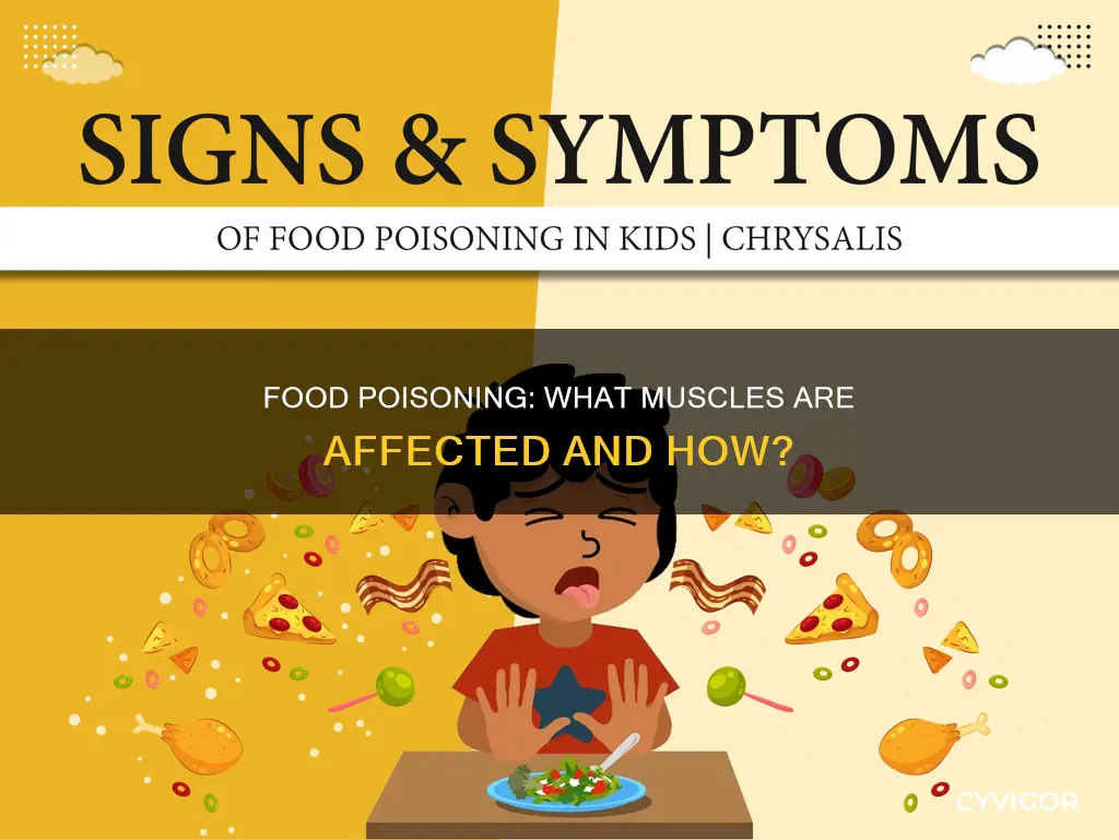 what muscles does food poisoning