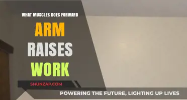 Forward Arm Raises: Targeted Muscles and Benefits Explained