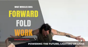 Forward Fold Benefits: Targeted Muscles and Flexibility Explained