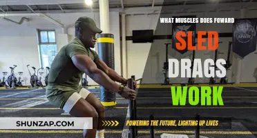 Forward Sled Drags: Target Muscles and Full-Body Benefits Explained