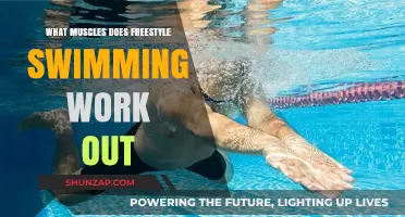 Freestyle Swimming: A Full-Body Workout for Core and Muscles