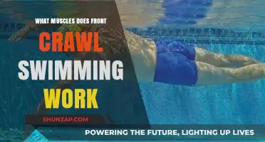 Front Crawl Swimming: Target Muscles and Full-Body Benefits Explained