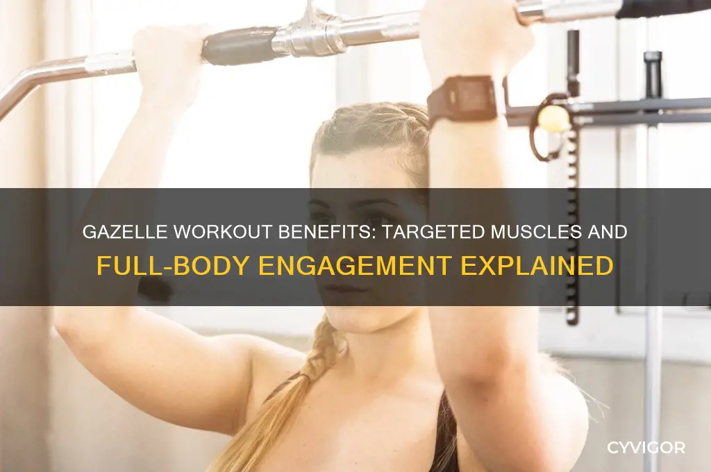 what muscles does gazelle work