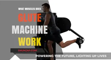 Glute Machine Workout: Targeted Muscles and Benefits Explained