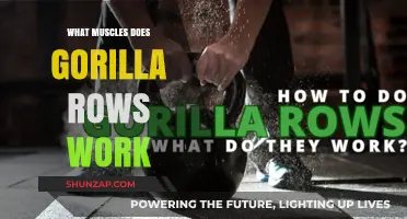 Gorilla Rows: Targeted Muscles and Benefits for Strength Training