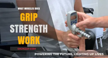 Grip Strength Training: Muscles Targeted and Benefits Explained
