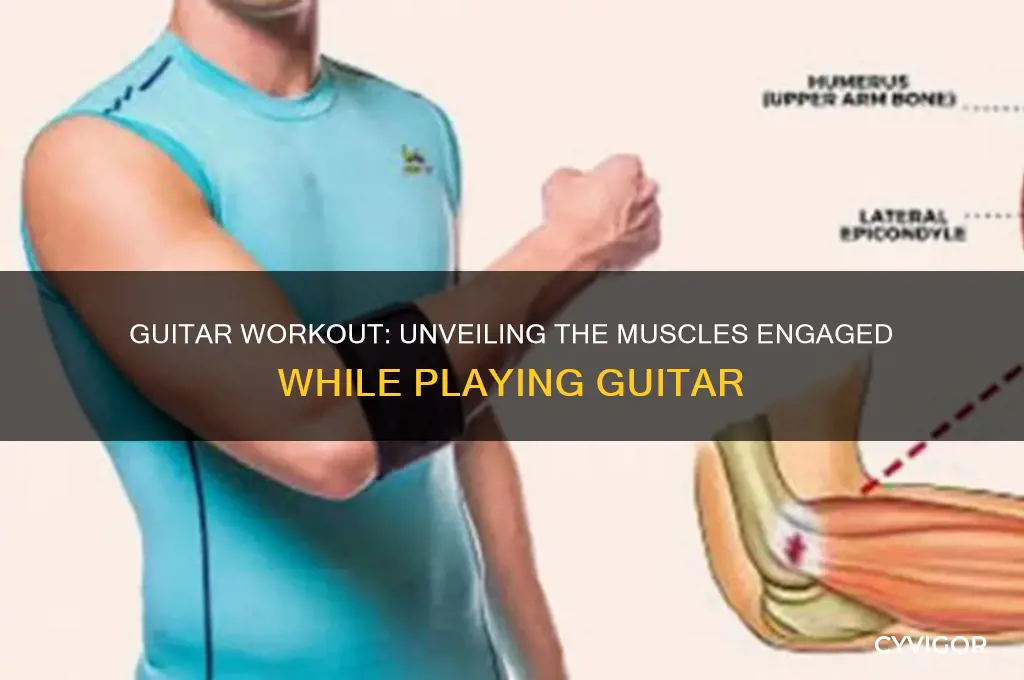 what muscles does guitar work