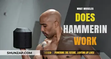 Hammering Workout Benefits: Targeted Muscles and Strength Training Explained