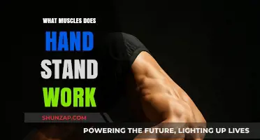 Handstand Benefits: Targeted Muscles and Full-Body Strength Development
