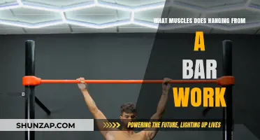 Hanging from a Bar: Targeted Muscles and Strength Benefits Explained