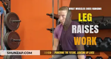 Hanging Leg Raises: Core Muscles Worked and Benefits Explained