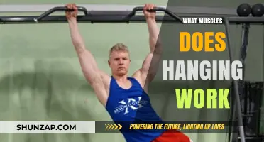 Hanging Exercises: Targeted Muscles and Full-Body Strength Benefits Explained