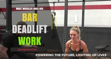 Hex Bar Deadlift Muscles: Targeted Strength Training Benefits Explained