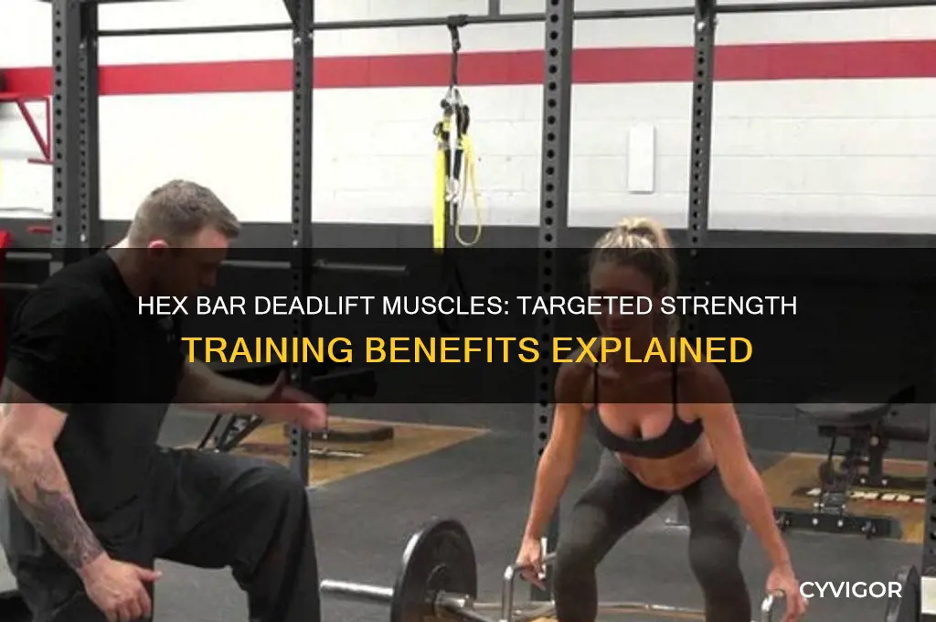 what muscles does hex bar deadlift work