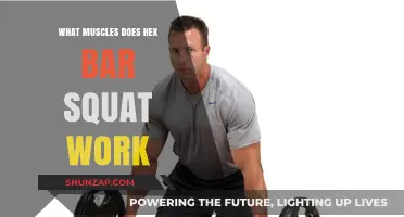 Hex Bar Squat Muscles: Targeted Strength Training Benefits Explained