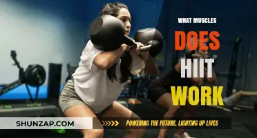 HIIT Workouts: Targeting Full-Body Muscles for Maximum Fitness Results