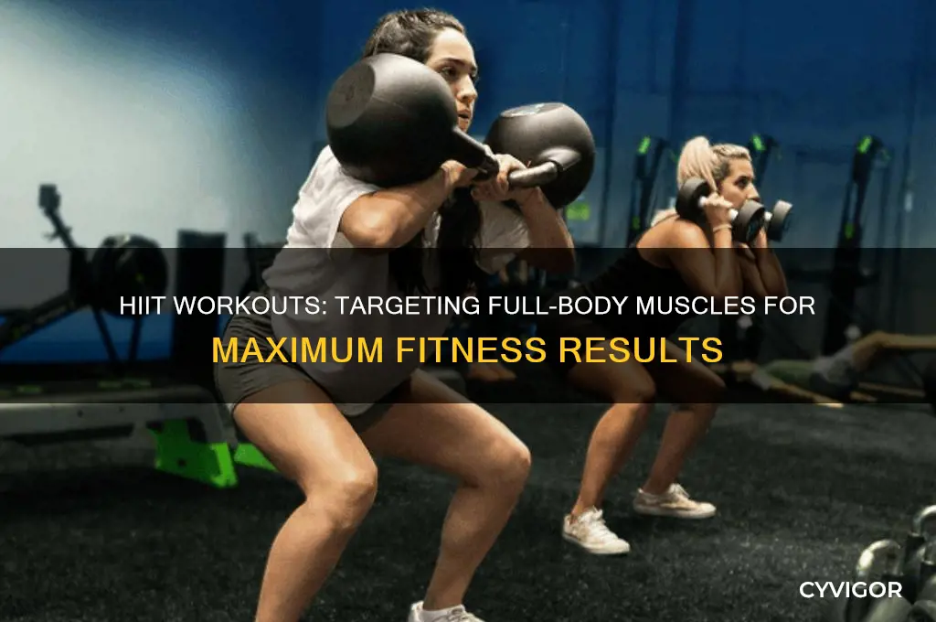 what muscles does hiit work