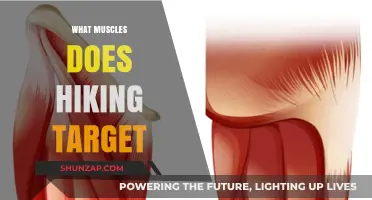 Hiking's Targeted Muscle Groups for Fitness